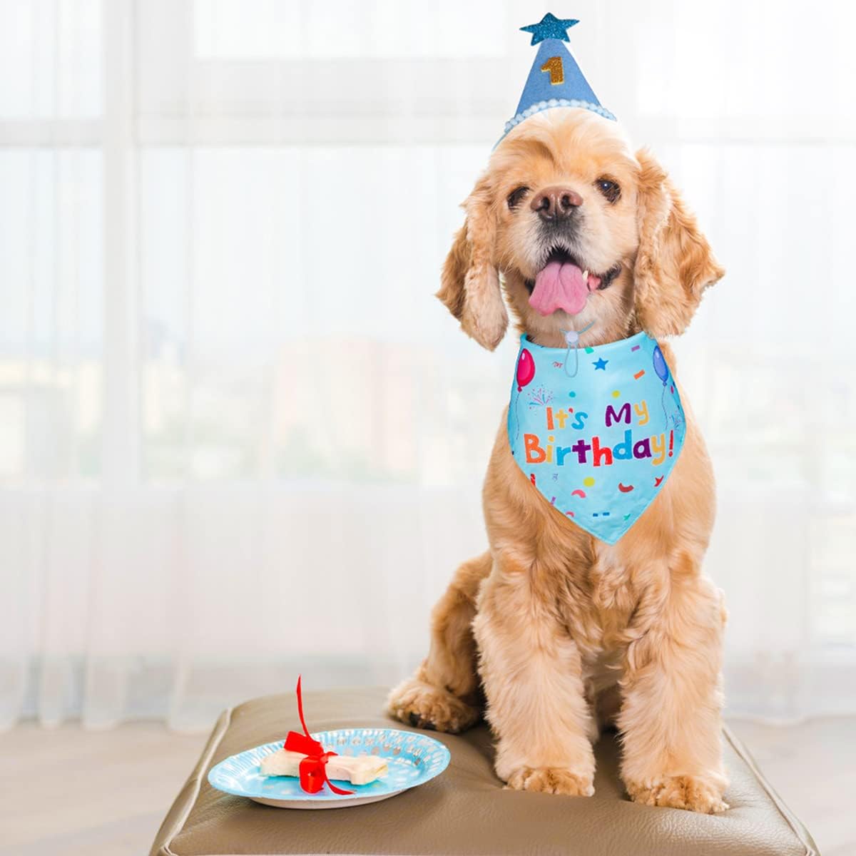 Pawly™ - Dog Birthday Set – Bandana & Hat with Numbers