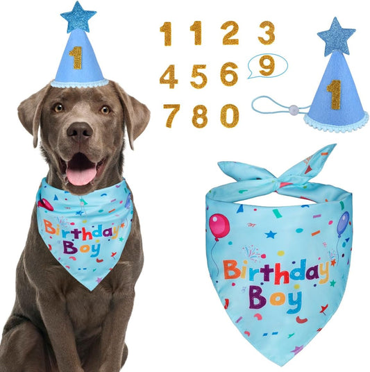 Pawly™ - Dog Birthday Set – Bandana & Hat with Numbers