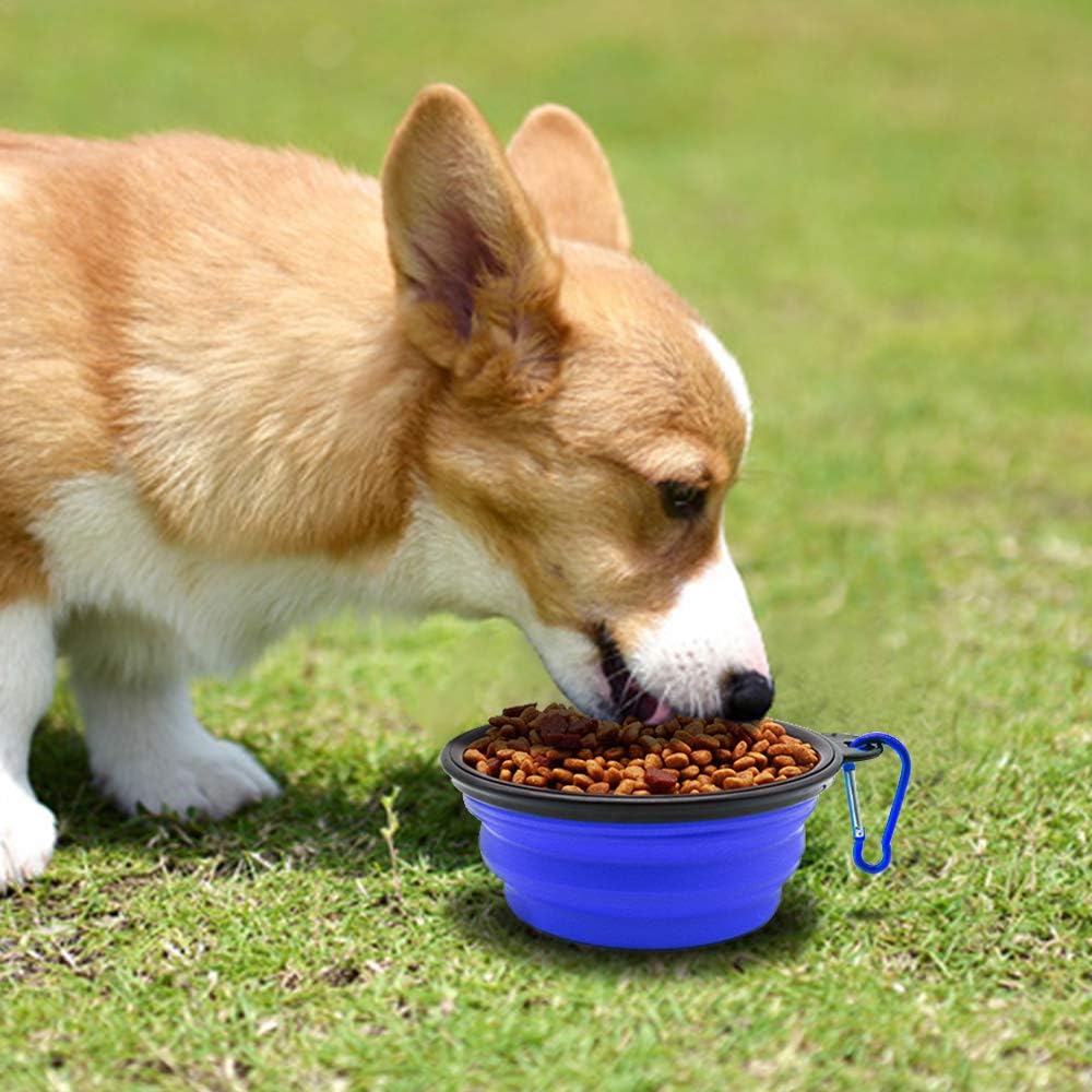 Pawly™ Travel Bowls – Feed Anywhere, Anytime
