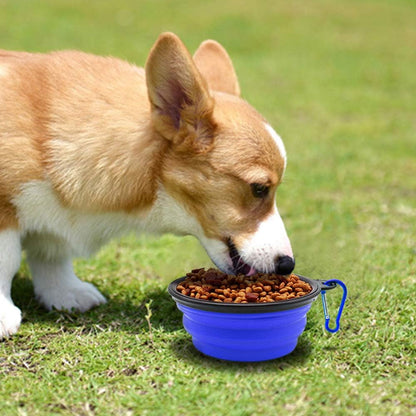 Pawly™ Travel Bowls – Feed Anywhere, Anytime
