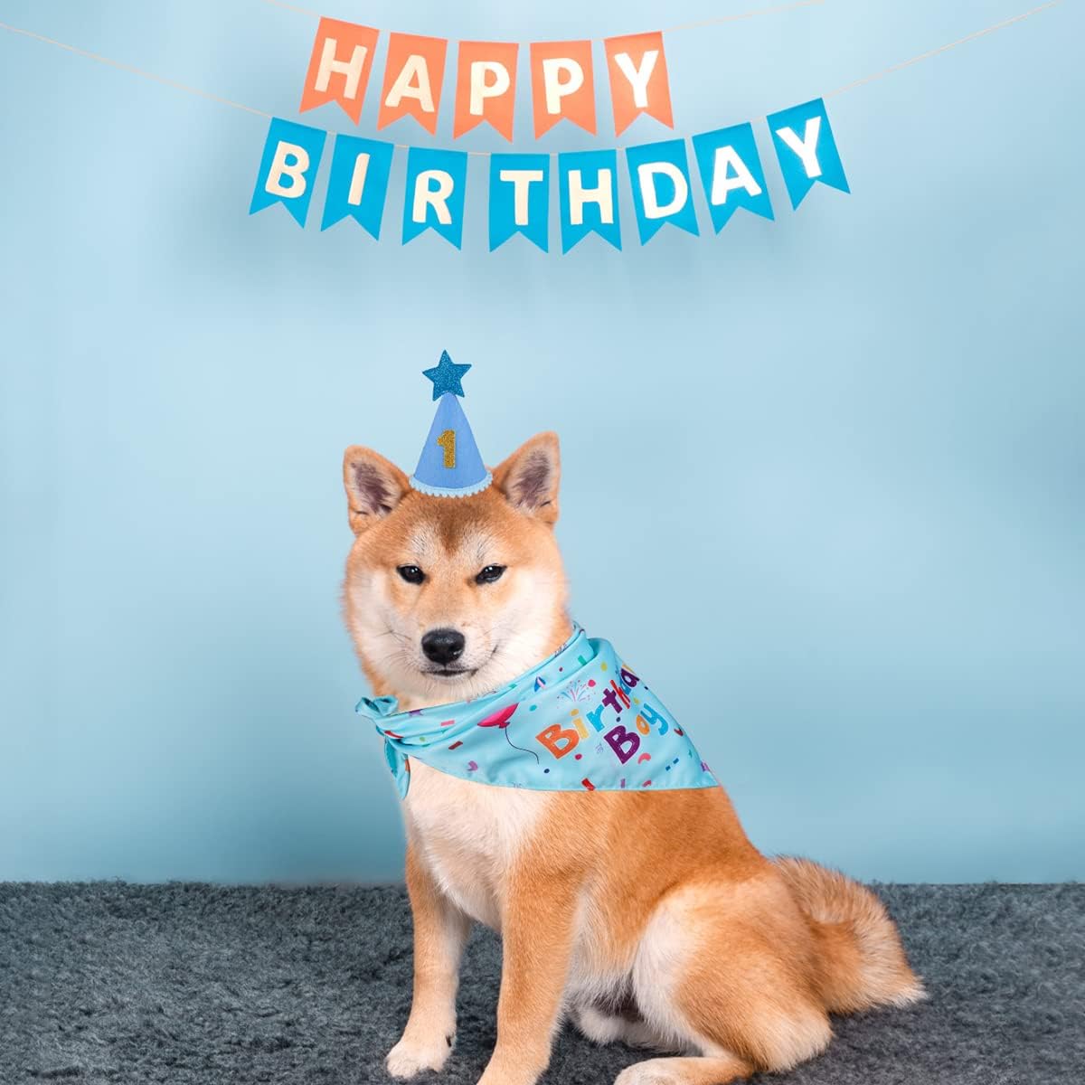 Pawly™ - Dog Birthday Set – Bandana & Hat with Numbers