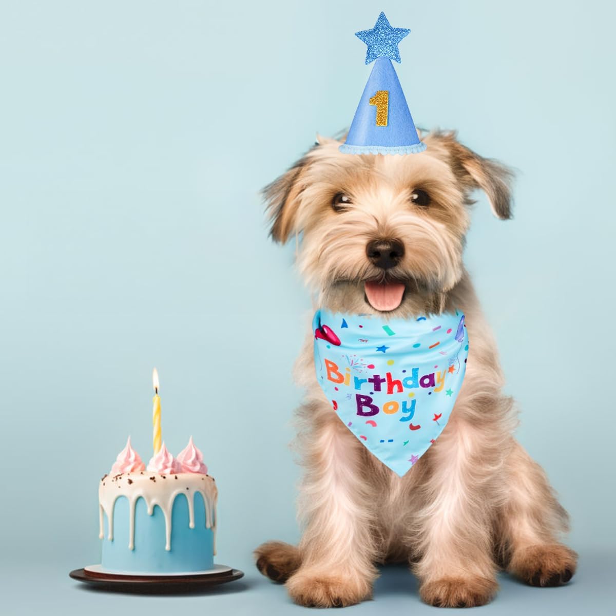 Pawly™ - Dog Birthday Set – Bandana & Hat with Numbers