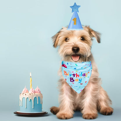 Pawly™ - Dog Birthday Set – Bandana & Hat with Numbers