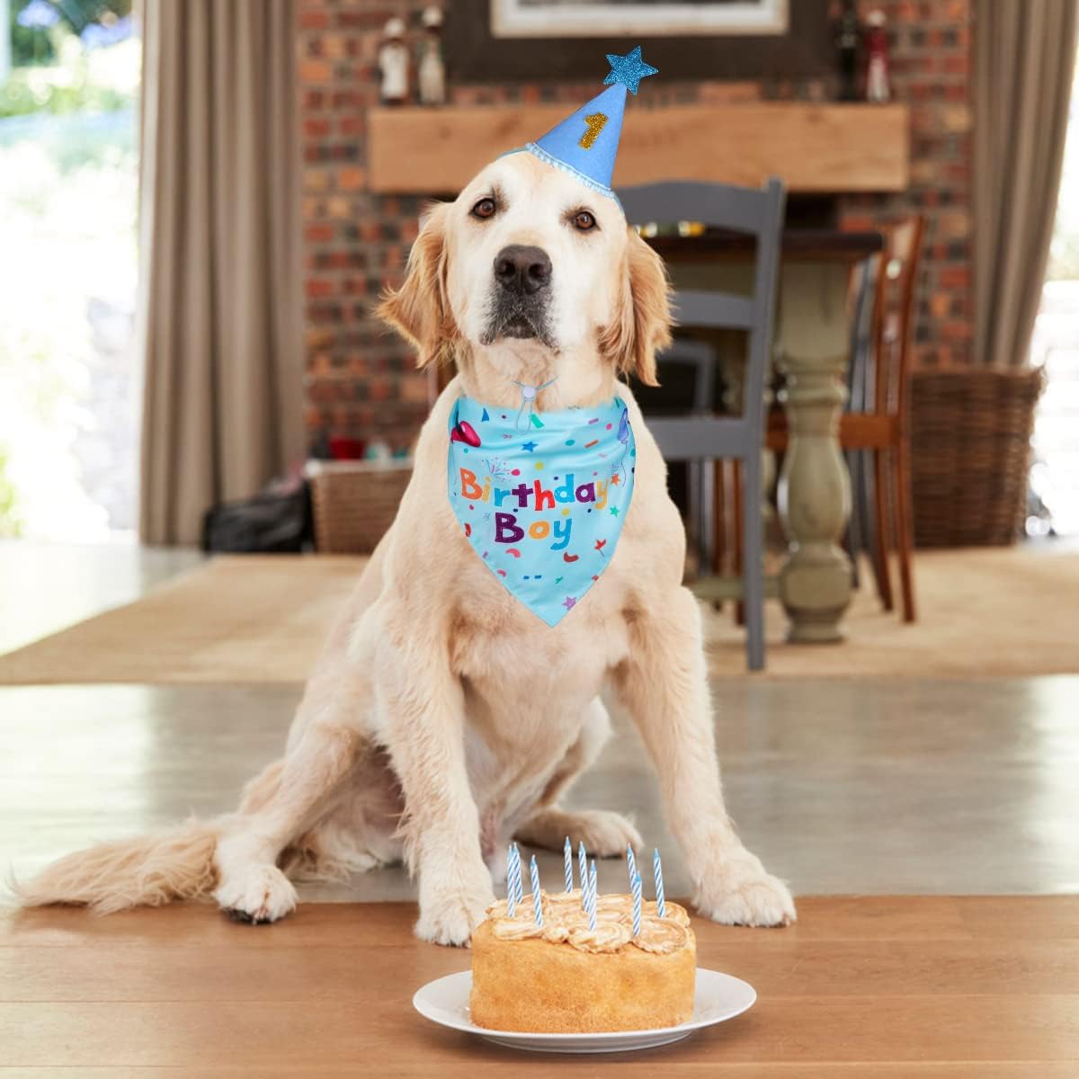 Pawly™ - Dog Birthday Set – Bandana & Hat with Numbers
