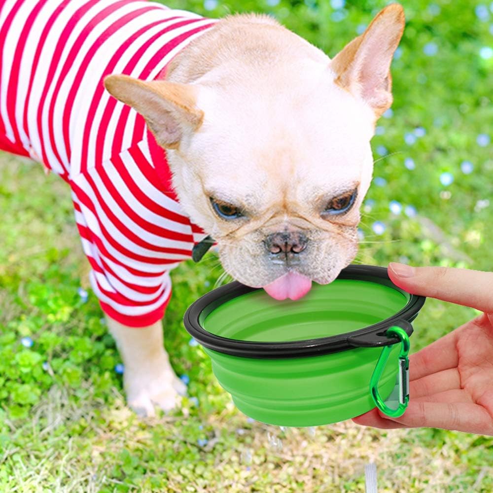 Pawly™ Travel Bowls – Feed Anywhere, Anytime