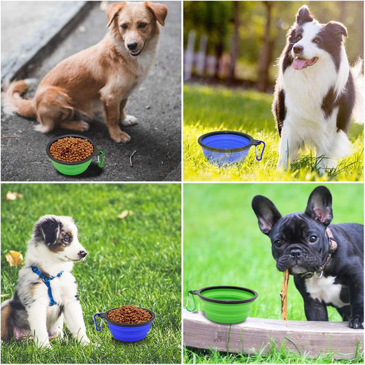 Pawly™ Travel Bowls – Feed Anywhere, Anytime
